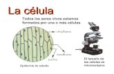La célula: Introducción