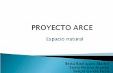Proyecto arce-sergio-sonia-y-berta1