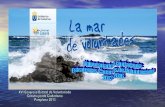 Comunicación 2. Estrategia canaria de voluntariado. Gobierno de Canarias