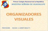 Organizadores visuales guadalupe