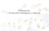 Prehistoria EvolucióN HistóRica Y Cultural