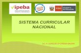 Sistema Curricular Nacional - Componentes