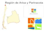 Región de arica y parinacota