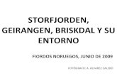 FIORDOS NORUEGOS: STORFJORDEN, GEIRANGER, BRISKDAL Y SU ENTORNO
