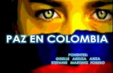 Moea COLOMBIA