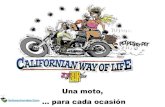 Motos De Ocasión - Solocachondeo.Com