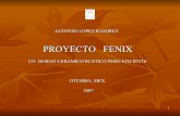 Presentacion power point proyecto fenix