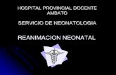 Laurita reanimacion neonatal presentacion