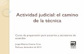 Actividad judicial: El camino de la técnica