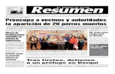 Diario Resumen 20140709