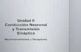 Conducción Neuronal y Transmisión Sináptica