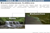 Tema 3   ecosistemas lóticos