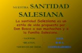 Santidad Salesiana.