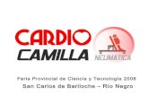 Cardio Camilla Neumatica