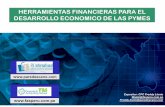 Herramientas financieras para el desarrollo económico de las pymes