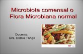 Clase 7 flora microbiana normal