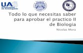 Mega resumen del segundo practico de biología Advertencia la aprovacion es garantizada!