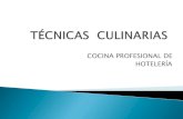 Tecnicas culinarias em espanhol