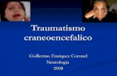 Traumatismo Craneoencefalico 2007