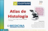 Atlas de histología 1 Semestre M. C. I.