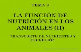 LA FUNCION DE NUTRICION EN LOS ANIMALES II: TRANSPORTE DE NUTRIENTES Y EXCRECIÓN