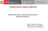 Innovación: Ideas Básicas e Importancia