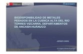 Biodisponibilidad de metales pesados en la cuenca alta del río Torres-Vizcarra, departamentos de Ancash-Huánuco
