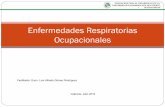 Enfermedades respiratorias ocupacionales 2010