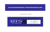 Antecedentes Profesionales -  GTS Uruguay 2013 - Professional Background