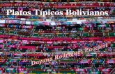 Platos típicos bolivianos   dayana rodriguez