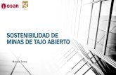 11. Sostenibilidad de Minas de Tajo Abrierto