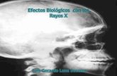 Efectos Biológicos de Rayos X