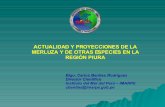 Actualidad y Proyecciones de la Merluza y de otras especies en la Región Piura (Carlos Benites)