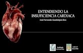Entendiendo la insuficiencia cardiaca