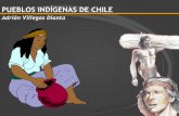 Presentación Pueblos Indígenas de Chile