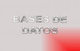 Bases Datos Expo