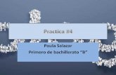 Practica #4 paula salazar