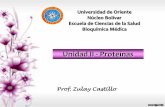 Unidad II  proteinas