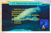 13   nutrición animal ii - intercambio de gases
