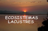 Escuela de Biología y Química Ecosistemas Lacustres por Yadira Guerrero
