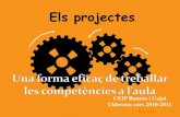 Els projectes i les competencies