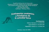 Fundamentos Anatomicos Y Ficiologicos De La Educacion FíSico