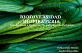 Biodiversidad  biopirateria