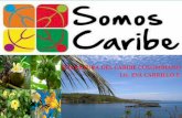 Identidad Caribe, autores y obras del arte y literatura del Caribe Colombiano, especialmente Barranquilla
