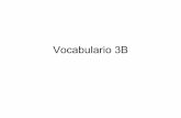 Vocabulario 3 b