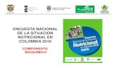 Encuesta nacional de la situación nutricional en colombia 2010