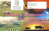 MONTAJE DE EVENTOS MINISTERIO DE AGRICULTURA Y GANADERÍA
