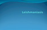 Clase 5 b  leishmaniasis