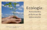 Ecología: actividades prácticas de laboratorio