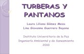 Turberas Y Pantanos (1)